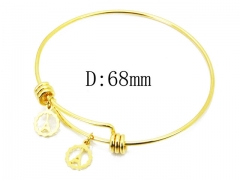 HY Wholesale 316L Stainless Steel Bangle-HY91B0363OA