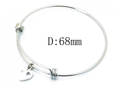 HY Wholesale 316L Stainless Steel Bangle-HY91B0334LA