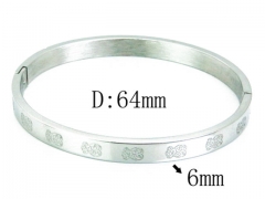 HY Stainless Steel 316L Bangle-HYC02B0603HGG