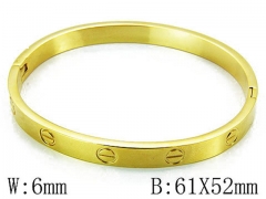 HY Stainless Steel 316L Bangle-HYC02B0187