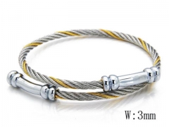 HY Stainless Steel 316L Bangle-HYC38B0367H00