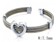 HY Stainless Steel 316L Bangle-HYC38B0298H60