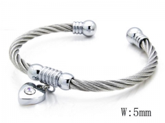HY Stainless Steel 316L Bangle-HYC38B0347H80