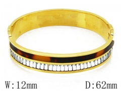 HY Stainless Steel 316L Bangle-HYC68B0025J60