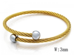 HY Stainless Steel 316L Bangle-HYC38B0375H20