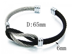 HY Stainless Steel 316L Bangle-HYC38B0443HOR