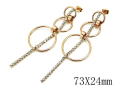 HY Wholesale Stainless Steel 316L Earrings-HYC21E0036PQ