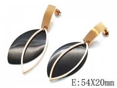 HY Wholesale Stainless Steel 316L Earrings-HYC80E0288HHF