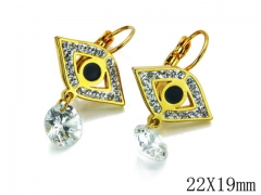 HY Wholesale Stainless Steel 316L Earrings-HYC67E0081NV