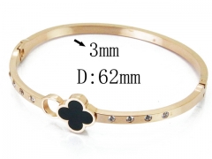 HY Wholesale Stainless Steel 316L Bangle(Crystal)-HY80B1033HKF