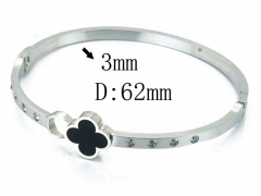 HY Wholesale Stainless Steel 316L Bangle(Crystal)-HY80B1031HHL