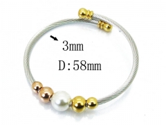 HY Stainless Steel 316L Bangle (Steel Wire)-HY38B0534HLS