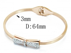 HY Wholesale Stainless Steel 316L Bangle(Crystal)-HY80B1027HKL