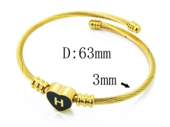 HY Stainless Steel 316L Bangle (Steel Wire)-HY12B0438OLA