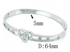 HY Wholesale Stainless Steel 316L Bangle(Crystal)-HY80B1050HJX