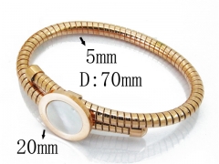 HY Wholesale 316L Stainless Steel Popular Bangle-HY64B1331IMW