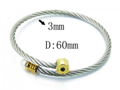 HY Stainless Steel 316L Bangle (Steel Wire)-HY38B0562HIB