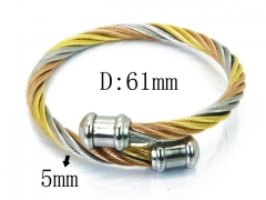 HY Stainless Steel 316L Bangle (Steel Wire)-HY38B0618HKU