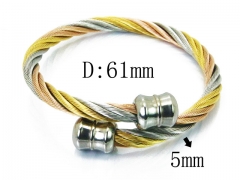 HY Stainless Steel 316L Bangle (Steel Wire)-HY38B0609HKF