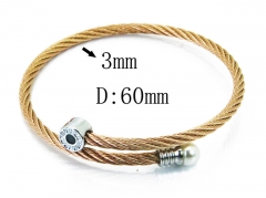 HY Stainless Steel 316L Bangle (Steel Wire)-HY38B0557HIX