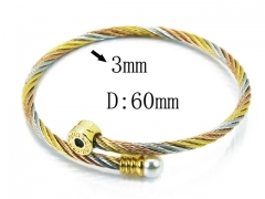 HY Stainless Steel 316L Bangle (Steel Wire)-HY38B0566HJX