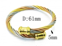 HY Stainless Steel 316L Bangle (Steel Wire)-HY38B0623HKV