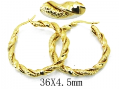 HY Stainless Steel Twisted Earrings-HY64E0395MT