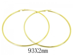 HY Wholesale Stainless Steel Earrings-HY21E0080IP