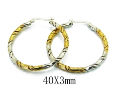 HY Stainless Steel Twisted Earrings-HY58E1444LA