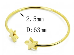 HY Wholesale 316L Stainless Steel Popular Bangle-HY58B0518MD