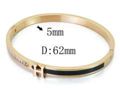 HY Wholesale Stainless Steel 316L Bangle(Crystal)-HY19B0296HPQ
