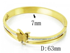 HY Wholesale Stainless Steel 316L Bangle(Crystal)-HY19B0243HOW