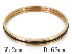 HY Wholesale Stainless Steel 316L Bangle(Crystal)-HY19B0170IHU