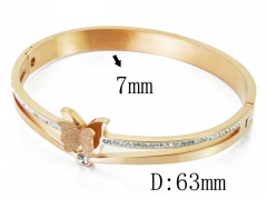 HY Wholesale Stainless Steel 316L Bangle(Crystal)-HY19B0244HOR