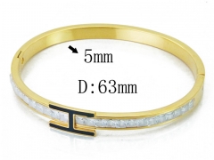 HY Wholesale Stainless Steel 316L Bangle(Crystal)-HY19B0310IWW