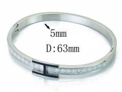 HY Wholesale Stainless Steel 316L Bangle(Crystal)-HY19B0309HOQ