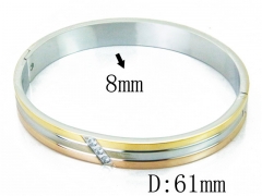 HY Wholesale Stainless Steel 316L Bangle(Crystal)-HY19B0232IVV
