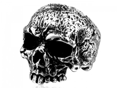 HY Wholesale 316L Stainless Steel Skull Rings-HY0012R337