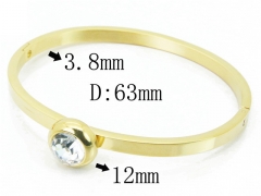 HY Wholesale Stainless Steel 316L Bangle(Crystal)-HY59B0628HFF