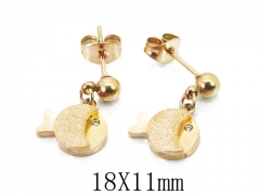 HY Wholesale Stainless Steel Jewelry Earrings-HY80E0518JS
