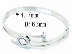 HY Wholesale Stainless Steel 316L Bangle-HY09B1081HKE