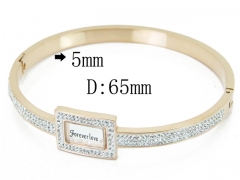 HY Wholesale Stainless Steel 316L Bangle-HY09B1129HNG