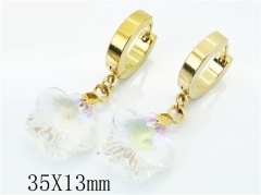 HY Wholesale Stainless Steel Jewelry Earrings-HY67E0371JW
