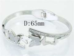 HY Wholesale Stainless Steel 316L Bangle-HY19B0532HNF