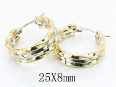HY Wholesale 316L Stainless Steel Earrings-HY58E1522NX