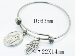 HY Wholesale Stainless Steel 316L Fashion Bangle-HY12B0204HXX