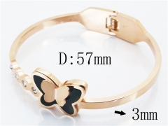 HY Wholesale Stainless Steel 316L Fashion Bangle-HY80B1193HJL