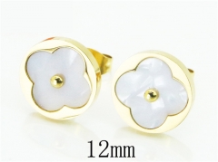 HY Wholesale 316L Stainless Steel Earrings-HY32E0156ME