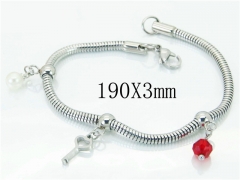 HY Wholesale 316L Stainless Steel Charm Bracelets-HY62B0425NQ