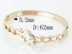 HY Wholesale Stainless Steel 316L Fashion Bangle-HY80B1211HKR